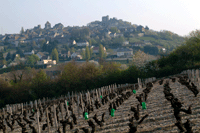 Sancerre -- seen over the vineyards