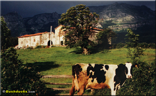 A rural village in the Picos de Europa