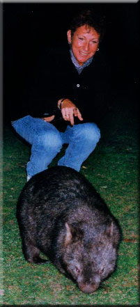 The author and wombat