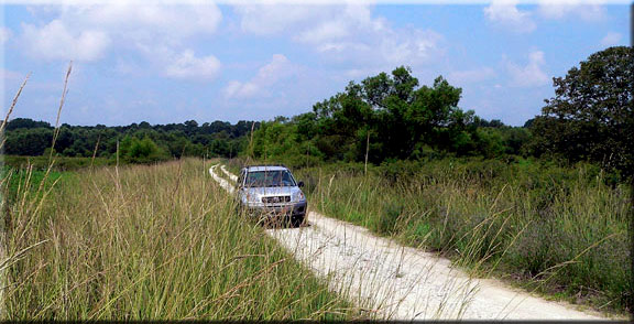 Small tracks in St Marks NWR entice you to explore