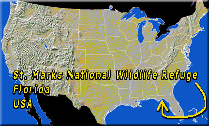 location map of St Marks NWR