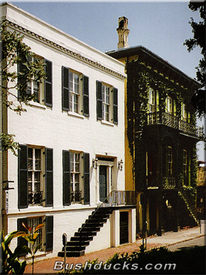 Savannah's elegant houses dream in the sunshine